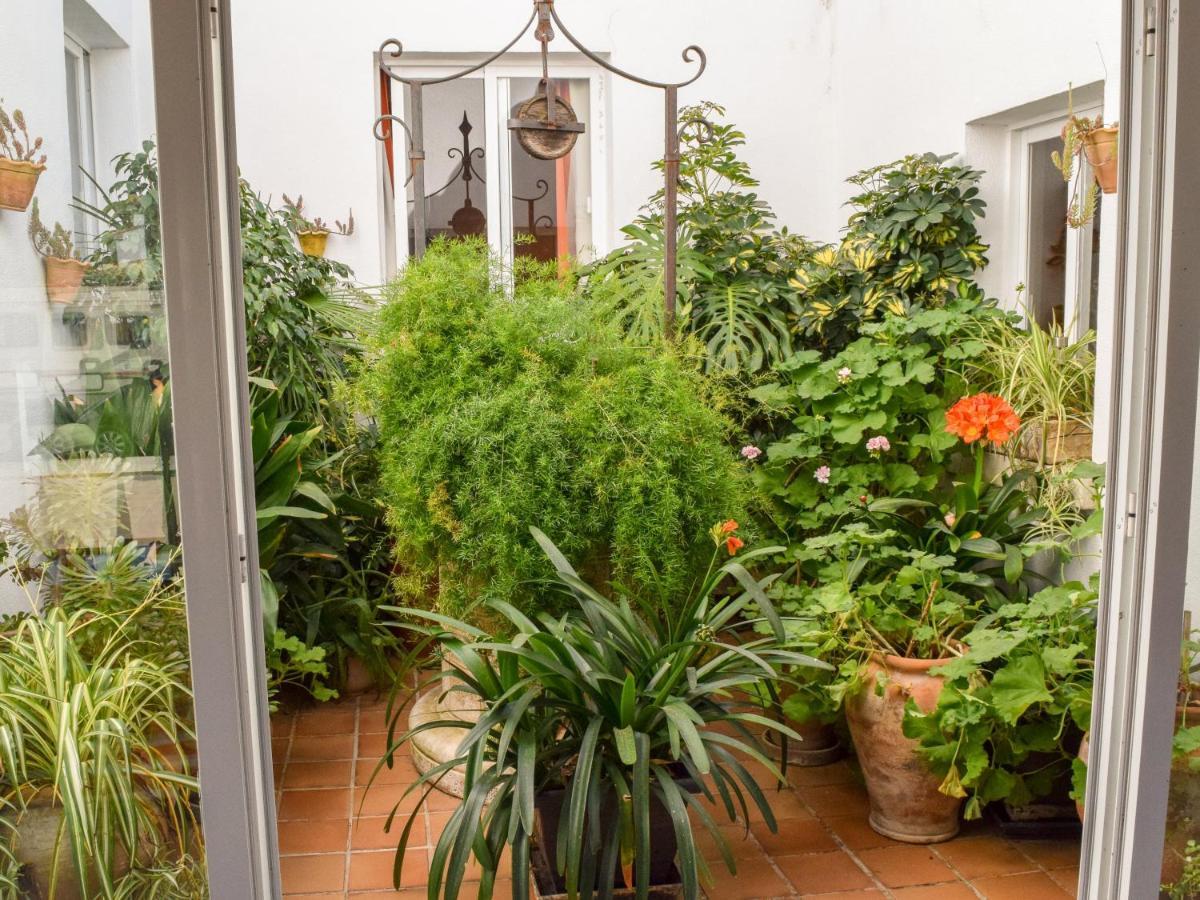 Villa Alexia - Apartment Coral - Puerto Pollensa エクステリア 写真